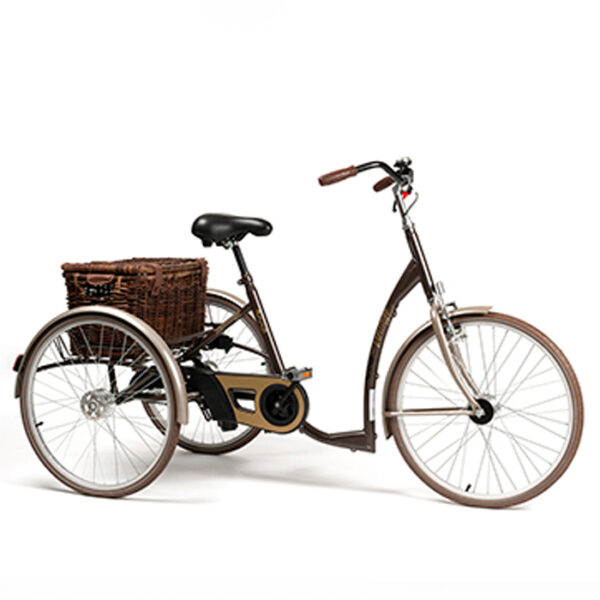 Tricicleta Vintage 2219